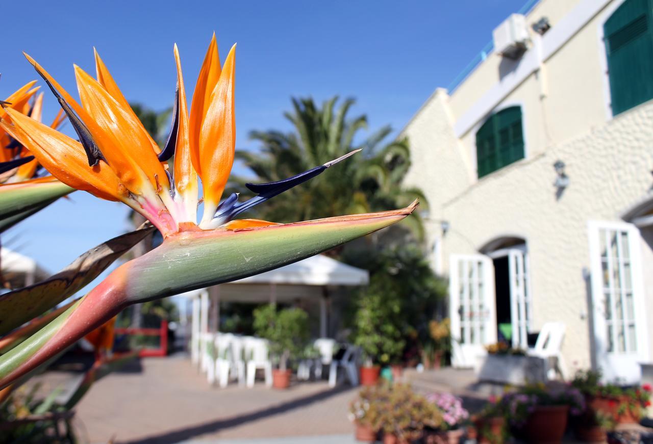 Albergo Ristorante Lucciola Santo Stefano al Mare Buitenkant foto